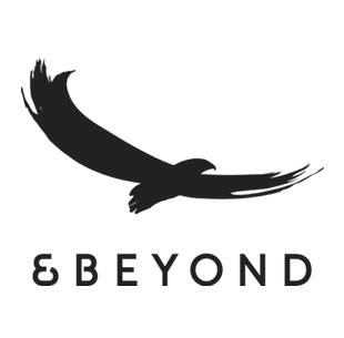 &Beyond
