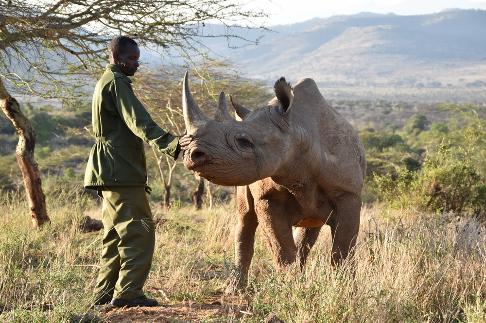 Wildlife Conservation in Kenya